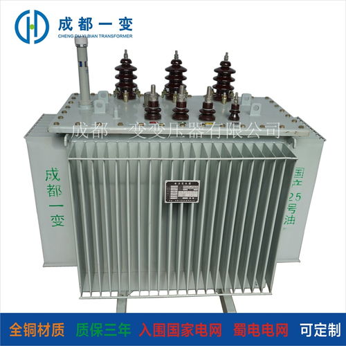 10kV油浸式變壓器報(bào)價(jià)與廠家選擇指南